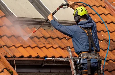 Démoussage et hydrofuge de toiture à Cros-de-Ronesque